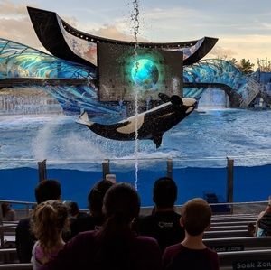 Meet your Posher, Wanda